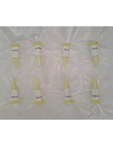 8 tubos de frecuencia Zhendong