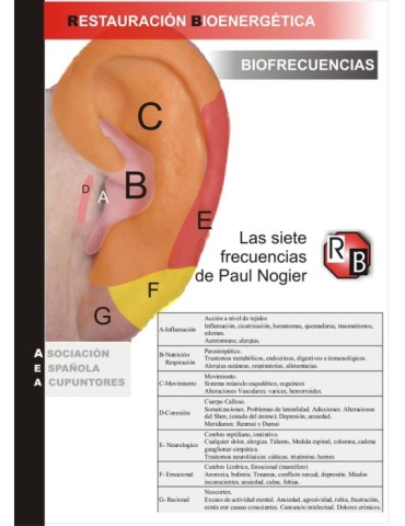 Curso RB de Auriculopuntura online