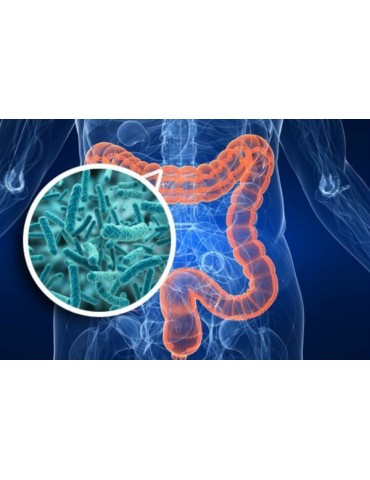 Curso RB de Salud y Microbiota intestinal online